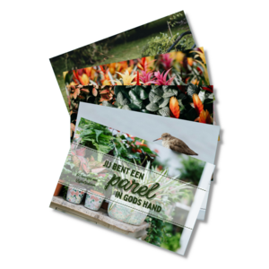 Cadeaukaartjes Jij bent een parel in Gods hand